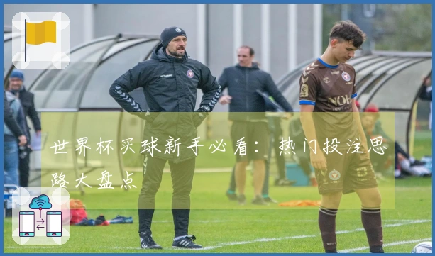 世界杯买球新手必看：热门投注思路大盘点