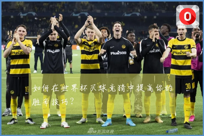 如何在世界杯买球竞猜中提高你的胜率技巧？