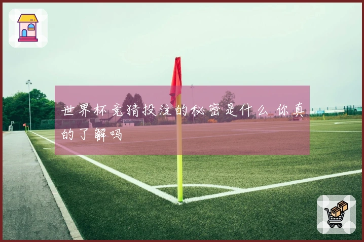 世界杯竞猜投注的秘密是什么 你真的了解吗