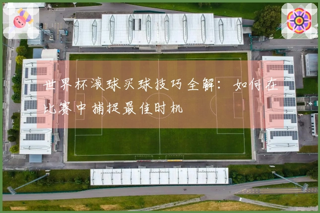 世界杯滚球买球技巧全解：如何在比赛中捕捉最佳时机