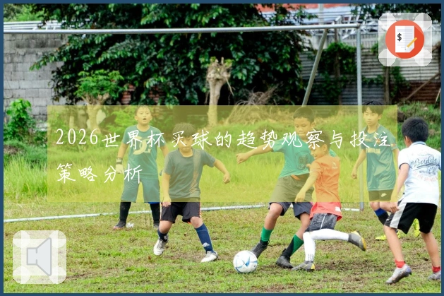2026世界杯买球的趋势观察与投注策略分析